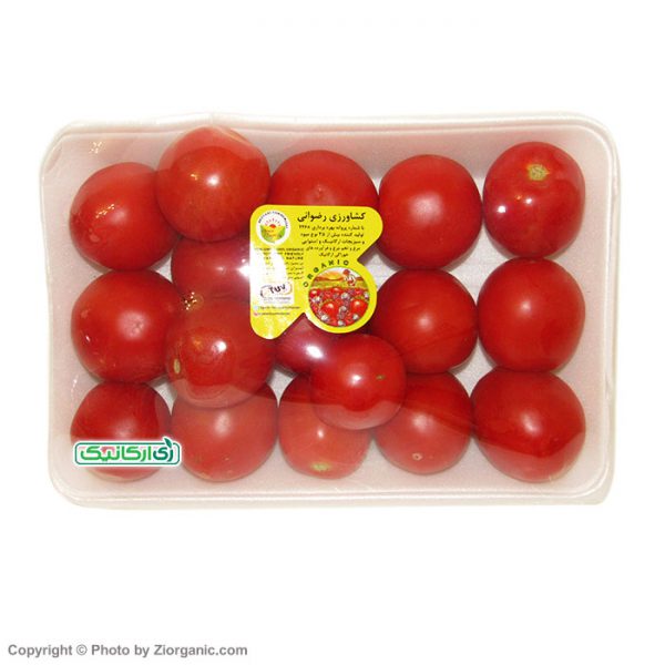 گوجه فرنگی ارگانیک - زی ارگانیک